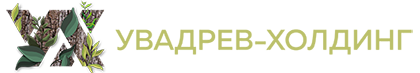 logo_top.png